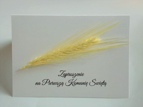 topass dekoracje zaproszenie na komunię z naturalnym kłosem4.jpg