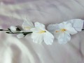 100_9867.jpg