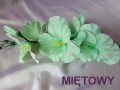 100_9871.jpg