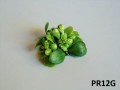 PR12G.jpg