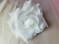 100_9407.jpg