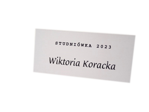 TOPASS-DEKORACJE-WINIETKA-STUDNIÓWKA2.PNG