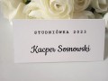 TOPASS-DEKORACJE-WINIETKA-STUDNIÓWKA3.jpg