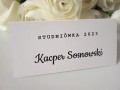 TOPASS-DEKORACJE-WINIETKA-STUDNIÓWKA4.jpg