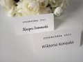 TOPASS-DEKORACJE-WINIETKA-STUDNIÓWKA5.jpg