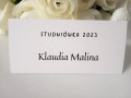 TOPASS-DEKORACJE-WINIETKA-STUDNIÓWKA1.jpg