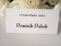 TOPASS-DEKORACJE-WINIETKA-STUDNIÓWKA3.jpg