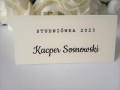 TOPASS-DEKORACJE-WINIETKA-STUDNIÓWKA2.jpg