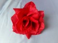 100_9411.jpg