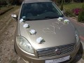 TOPASS-DEKORACJE-OZDOBA-NA-SAMOCHÓD-ŚLUBNY1.jpg