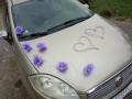 TOPASS-DEKORACJE-OZDOBA-NA-AUTO-WRZOS1.jpg