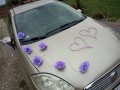 TOPASS-DEKORACJE-OZDOBA-NA-AUTO-WRZOS3.jpg