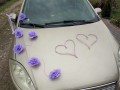 TOPASS-DEKORACJE-OZDOBA-NA-AUTO-WRZOS5.jpg