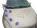 TOPASS-DEKORACJE-OZDOBA-NA-AUTO-WRZOS5.PNG