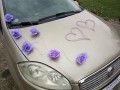 TOPASS-DEKORACJE-OZDOBA-NA-AUTO-WRZOS6.jpg
