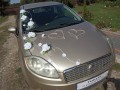 TOPASS-DEKORACJE-RÓŻE-PŁATKI2.jpg