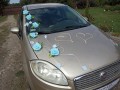 TOPASS-DEKORACJE-RÓŻE-PŁATKI6.jpg