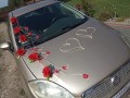 TOPASS-DEKORACJE-RÓŻE-PŁATKI9.jpg