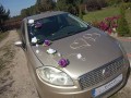 TOPASS-DEKORACJE-RÓŻE2.jpg