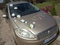 TOPASS-DEKORACJE-RÓŻE3.jpg