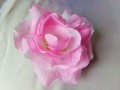 100_9414.jpg